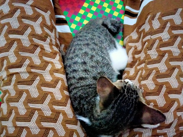 IMG20250702220526.jpg