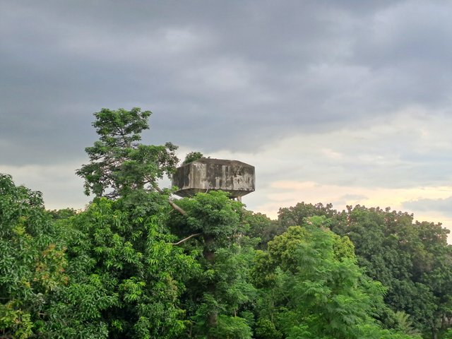 20250706_173438.jpg