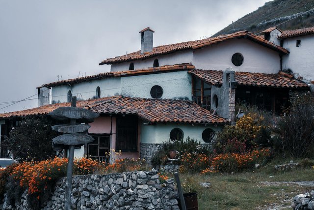 pexels-arturoaez225-13637396.jpg
