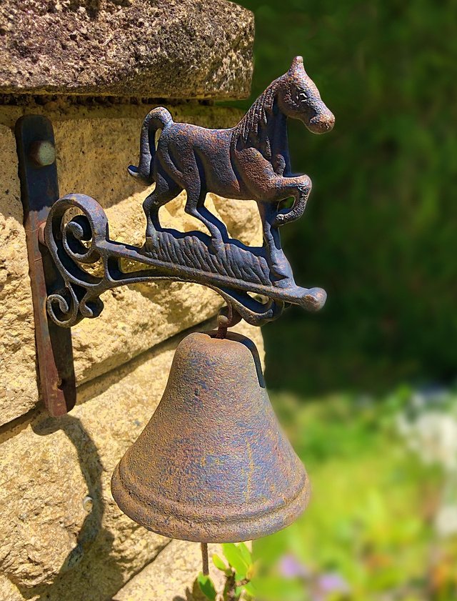 horse-7001948_1280.jpg