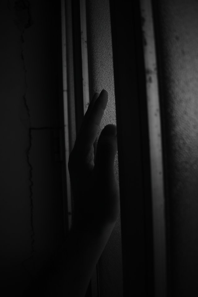 amir-esrafili-AUp9dtF3s0s-unsplash.jpg