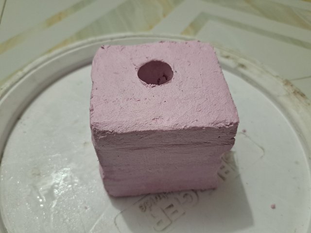 1000087124.jpg