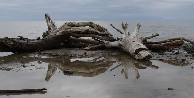 719 storm surge reflection.jpg