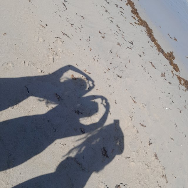 20250501_152648.jpg