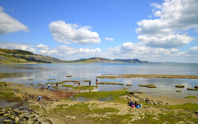 lyme regis.jpg