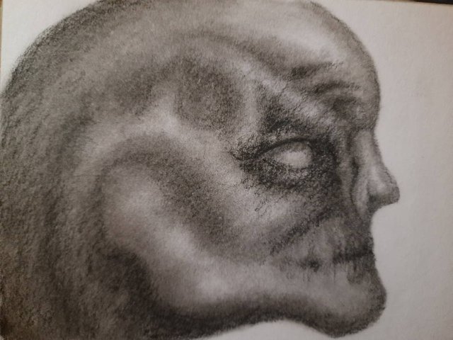 20250428_115354.jpg