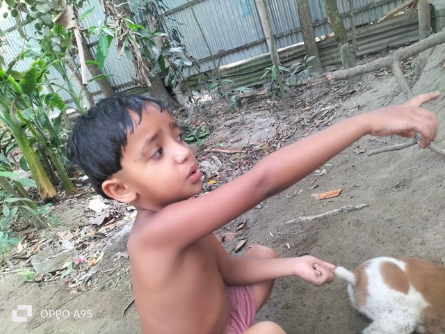 IMG20250411151222.jpg