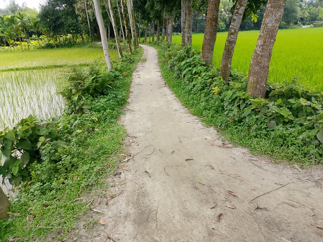 1000047519.jpg