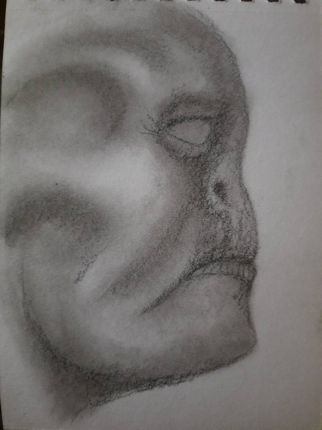20250603_110131.jpg
