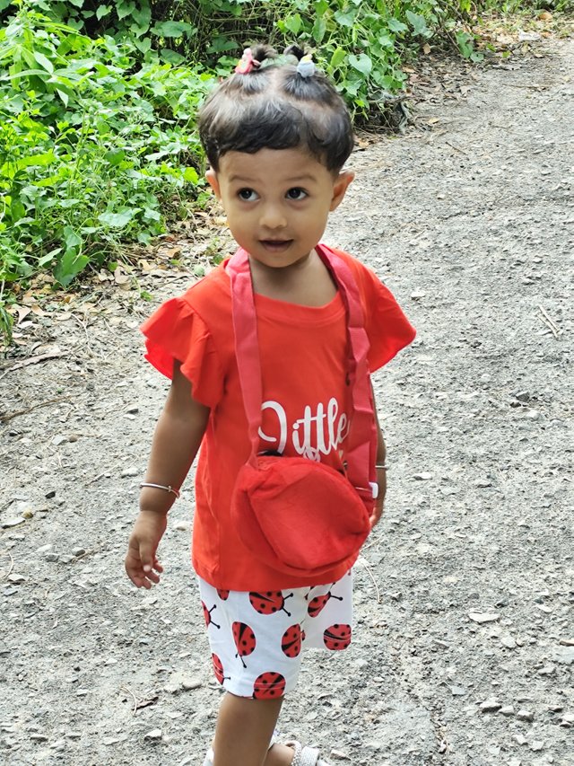 IMG_20250626_160245.jpg