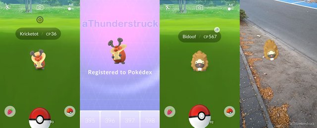 Kickerot and Bidoof caught.jpg