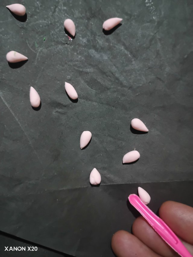 IMG_20250704_170214_045.jpg