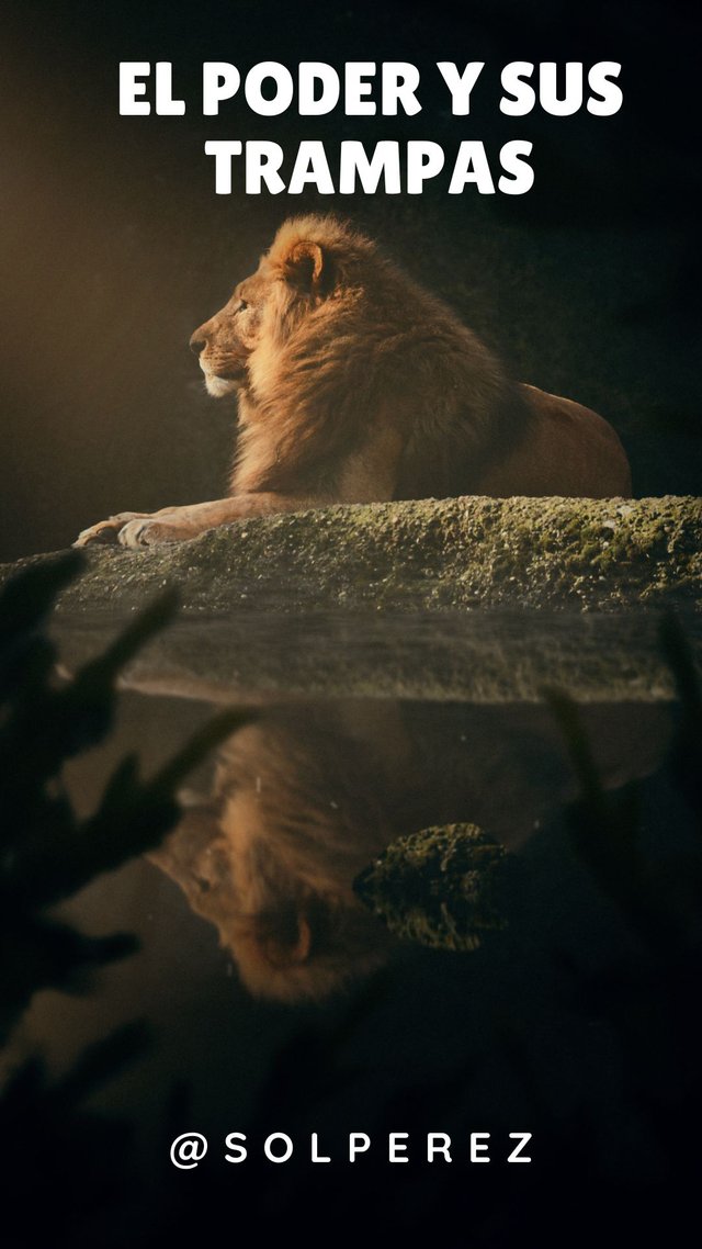 Historia de Instagram Día mundial del león fotografía fondo oscuro.jpg