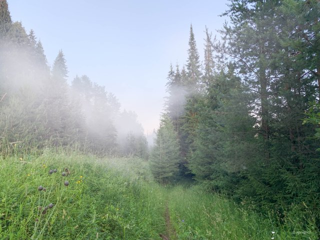 2025-07-08 19-53-22.jpg