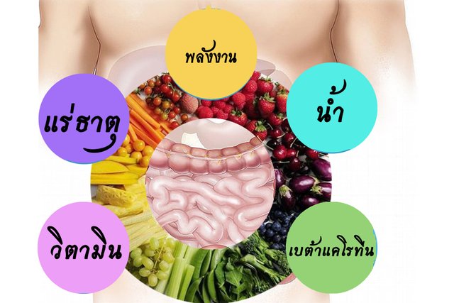 ร่างกายได้สารอาหาร.jpg