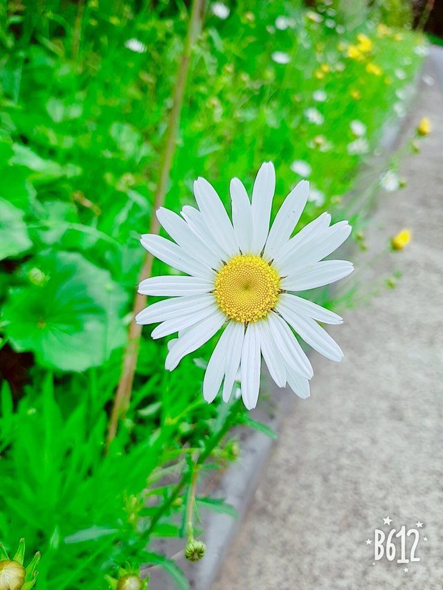 D2AB043E-A1AE-4F45-BC3B-8A9D3557C1F8.jpeg