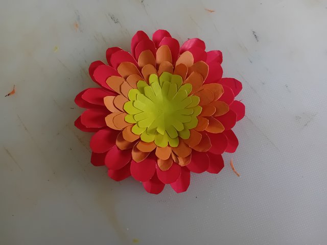 1000050914.jpg
