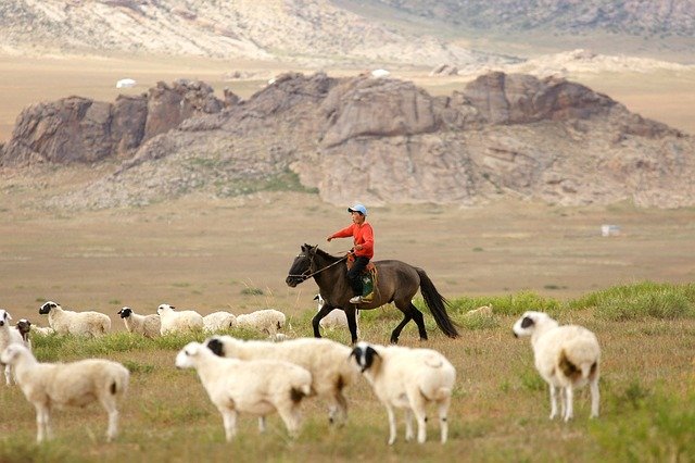 mongolia-419875_640.jpg