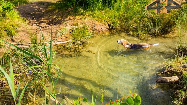 _DSC0258.jpg