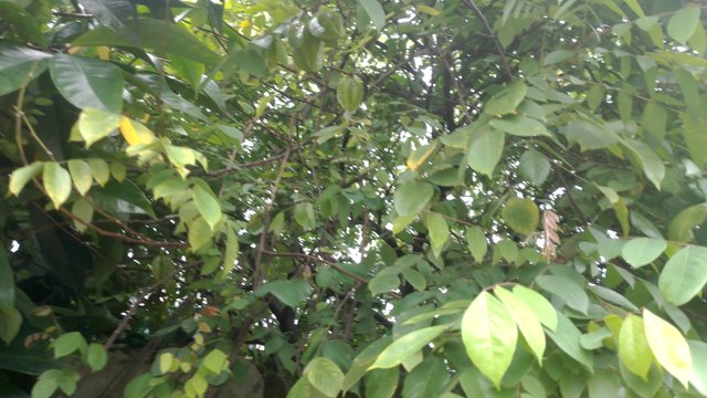 IMG_20250615_153332.jpg