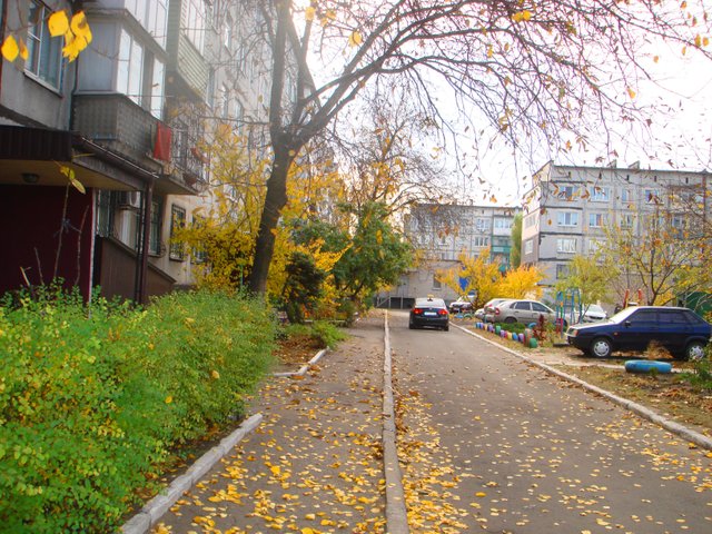 DSC03535.JPG