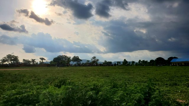 20250628_170751.jpg