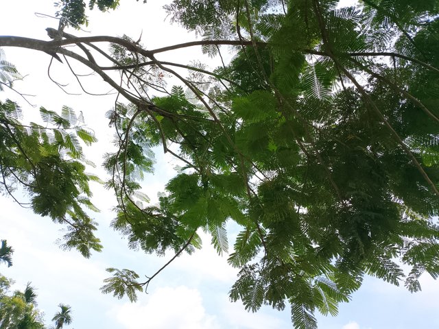 1000047516.jpg