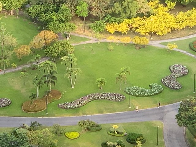 Chatuchak Park3.jpg