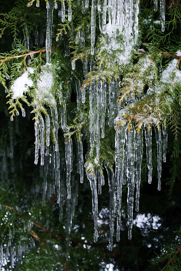 Icicles_2020_006_s.jpg