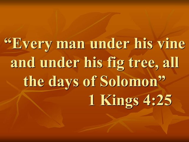 The wisdom of King Solomon. Every man under his vine and under his fig tree, all the days of Solomon. 1 Kings 4,25.jpg