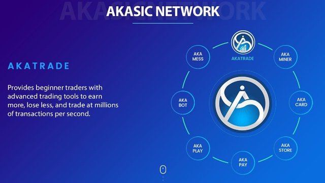 AKASIC NETWORK.JPG