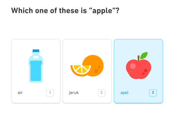 11.PNG