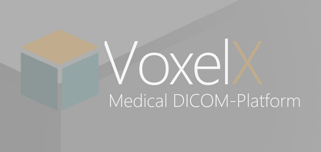 VOXELX INTRO4.png
