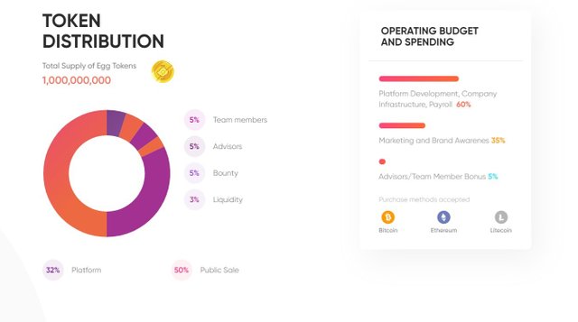 token distribution.jpg