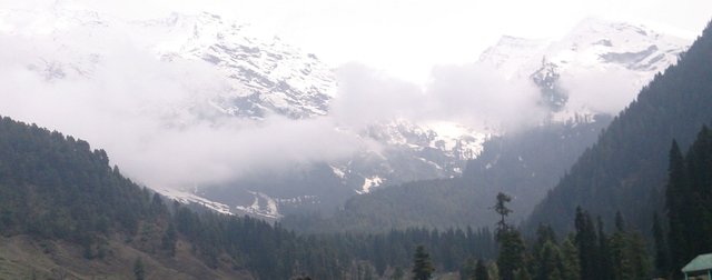 DSC_0487.JPG