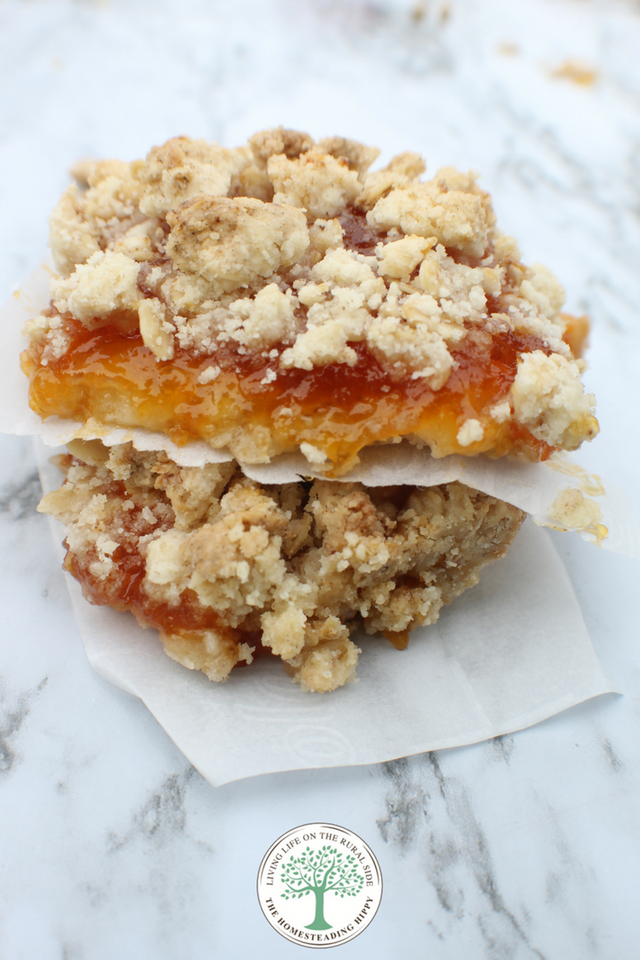 apricot oat bars pin 1.jpg