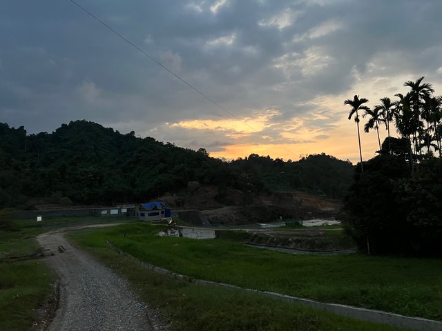 IMG_8155.jpeg