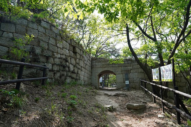DSC08116.JPG