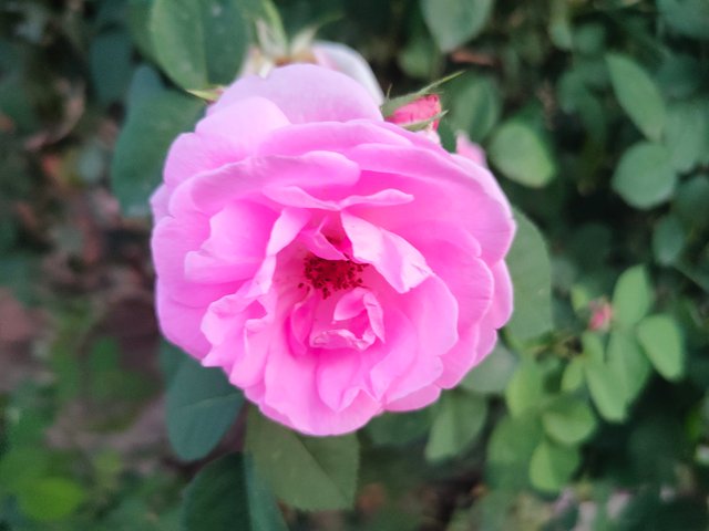 IMG20240409183516.jpg