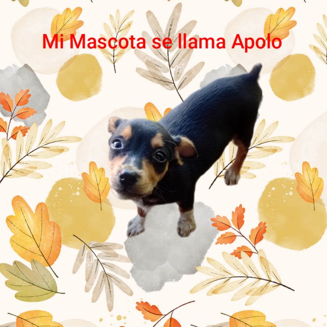 Image cover