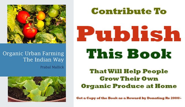 Donate to get book published on Organic Urban Farming