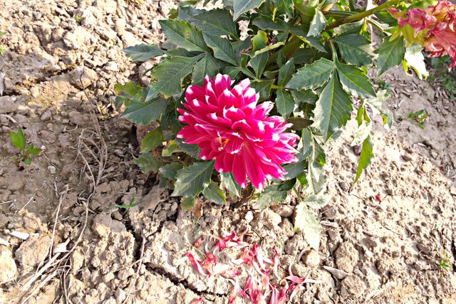 PicsArt_02-06-08.41.08.jpg