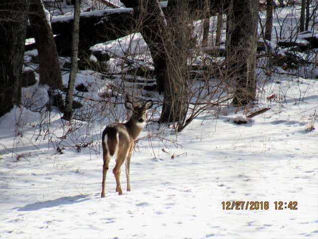 IMG_0172.JPG