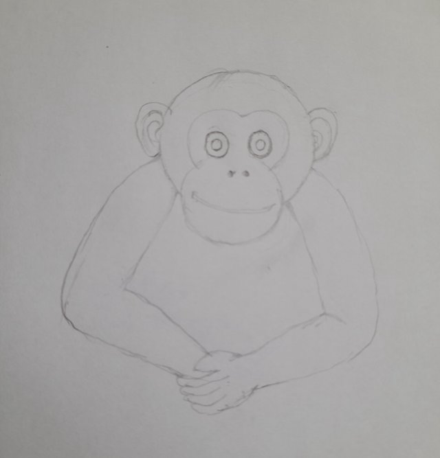20250730_135800.jpg