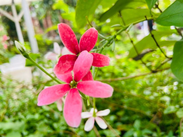 IMG_0677.jpeg