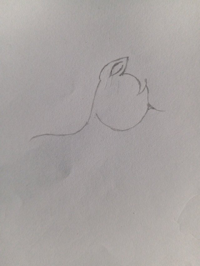 1000108636.jpg