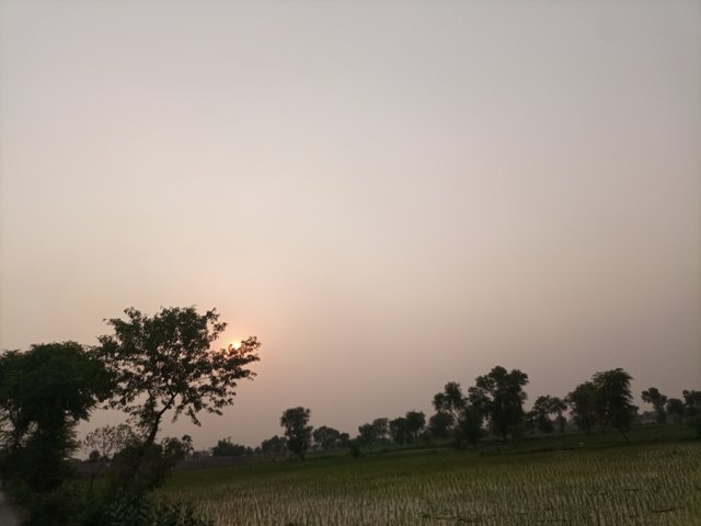 IMG_20250619_181122_594.jpg