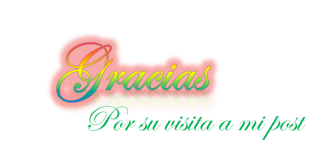 Gracias de rosana.png