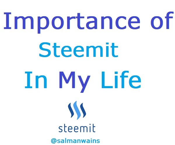 Steemit Importance in Life.jpg