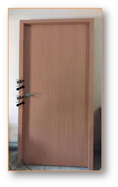 puerta con termitas.jpg
